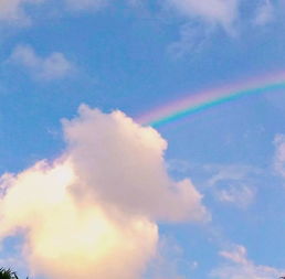 小幸运寓意好吗,带来好运的昵称大全