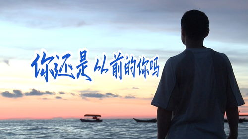 就这样悄悄的离去是什么歌,歌曲《回不去的从前》