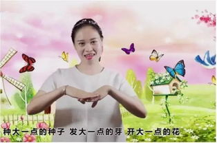 小小的花园里挖呀挖呀是什么歌,《小小花园》