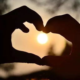 小幸运的寓意和象征,小幸运表达了什么感情