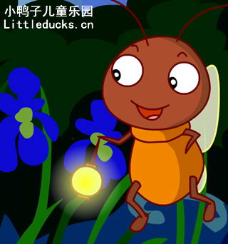 小小萤火虫儿歌歌词,萤火虫歌曲 儿童版歌词