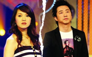 庾澄庆现任妻子生了几个,伊能静庾澄庆