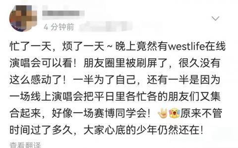 年少的你啊歌词怎么写评论,年少的你啊歌词表达的意思