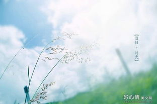 岁月留痕唯美句子,感叹岁月流逝的诗词