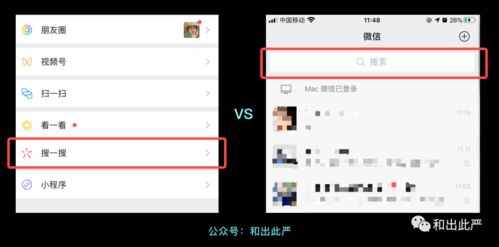 干物女歌词表达了什么,干物女的意思和含义