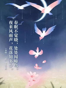 带月亮的歌曲50首歌词,带月的歌曲100首