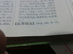 带红的歌词100首,红字开头的歌词大全