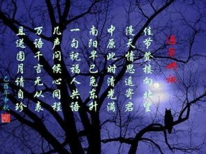 带雪的歌曲100首,雪字歌名大全