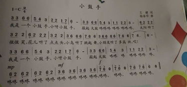 左手的你啊右手的你啊花衣裳歌词,抖音上很火的一首歌牵你的手