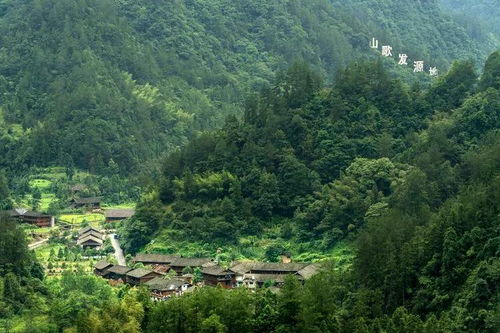 幺妹住在十三寨歌曲,幺妹住在十三寨背景图片