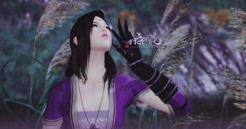 带刀的歌曲大全100首,刀的歌曲全部