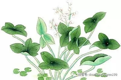 幸甚至哉的至是什么意思,幸甚至哉的翻译