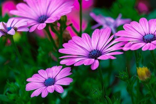 平平淡淡才是真,简简单单才幸福,夫妻平淡而幸福的文案