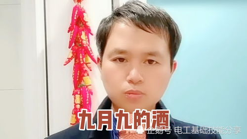 带酒的流行歌曲,有酒的歌曲名字