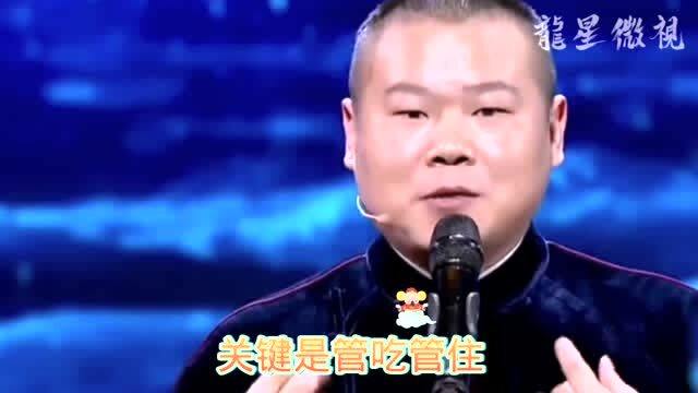 岳云鹏最经典的相声是什么,《一碗馄饨》相声完整版
