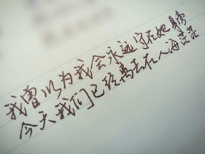 带花字的100句歌词大全,带有花字的歌词有哪些