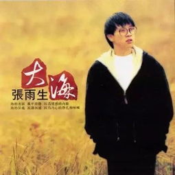 带海的歌名100首,歌词中带海的流行歌