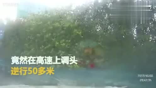 年少无知下一句怎么接，年少无知为什么禁了