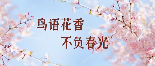 带你去旅行歌曲原唱,歌曲《最美的风景》