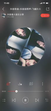 带飞蛾扑火歌词的歌曲，抖音歌曲像一只飞蛾扑火