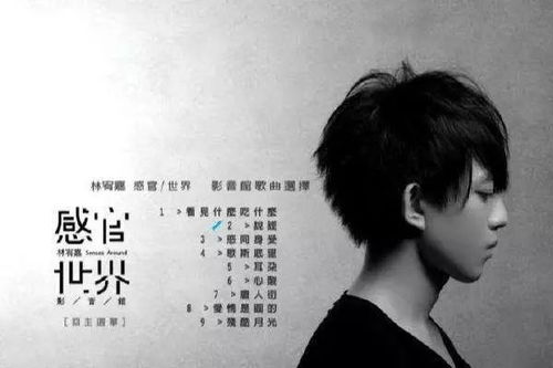 形容对方说谎的歌,形容失望和心凉的歌曲