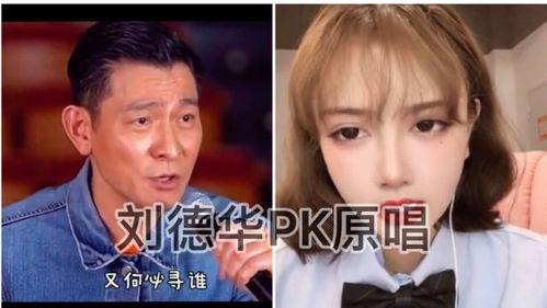 张学友回应没唱过不该用情,周慧敏《不该用情》