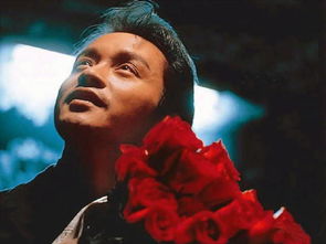 张国荣历年专辑介绍,张国荣一共有多少张专辑