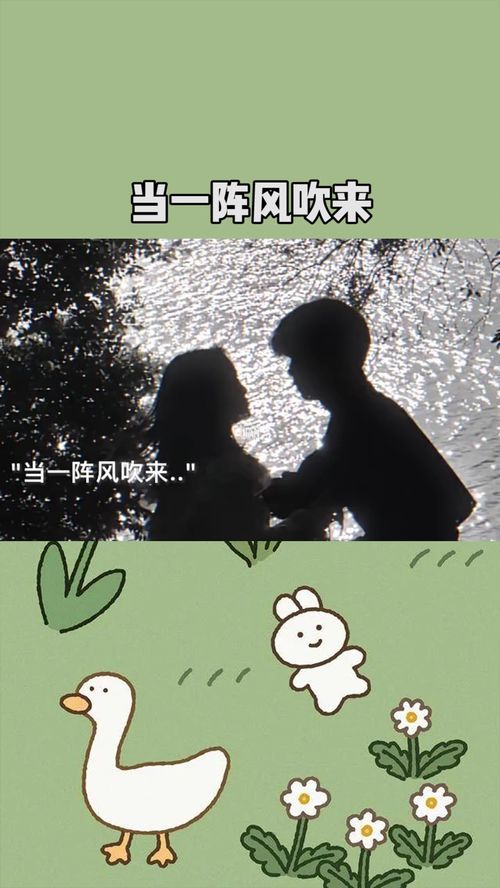 当一阵风吹来林俊杰,林俊杰像一阵风吹来