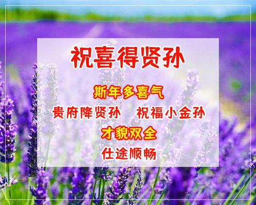 形容朋友友谊的句子唯美,友谊寄语唯美短句