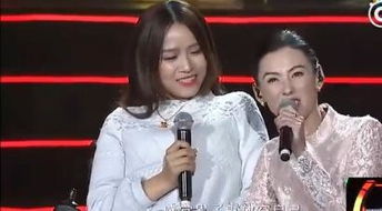 张柏芝唱的歌曲大全,张柏芝最好听的十首歌