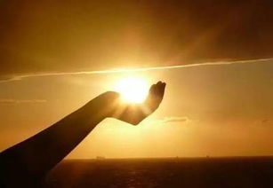 当我背上行囊踏上远方,我背上行囊 独自去流浪什么歌