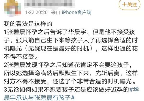 张碧晨的笼和哪首歌很像,笼这首歌表达了什么意思