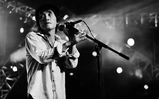 张楚蚂蚁蚂蚁歌词,蚂蚁蚂蚁这首歌什么意思