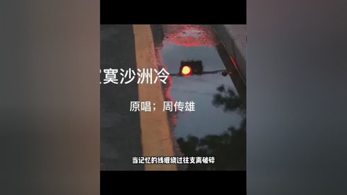 当记忆的时光已支离破碎歌词,寂寞沙洲冷歌词完整版