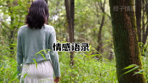 弄丢了从前的自己原唱,来生再续未了情dj女声版