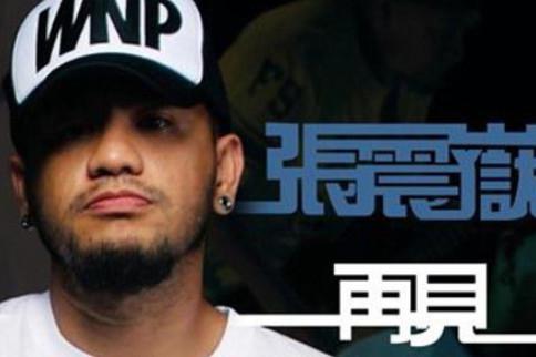 张震岳《再见》歌词,也许再见歌词