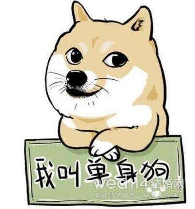 当个单身狗不找男朋友是什么歌,明明有男友却像单身狗