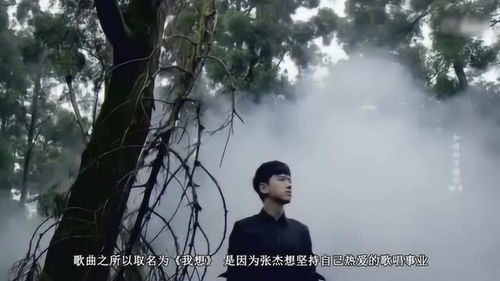 张杰励志歌曲十首，张杰的十大正能量的歌曲