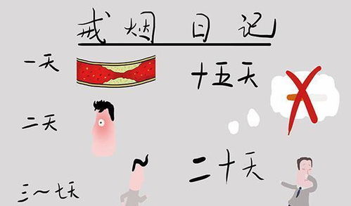 心太软是好事还是坏事,心太软表达了什么感情