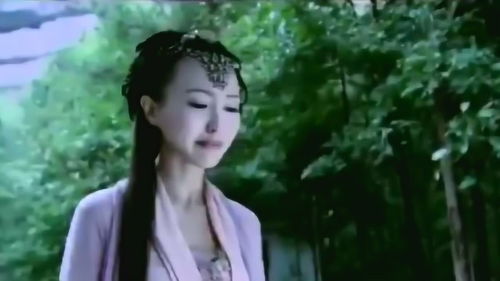 忘情水真正含义，忘情水指的是什么