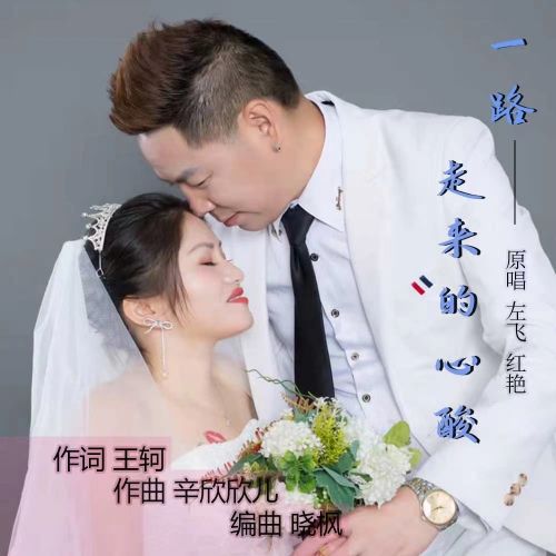 心酸的人生原唱左飞红艳，左飞红艳的个人简介