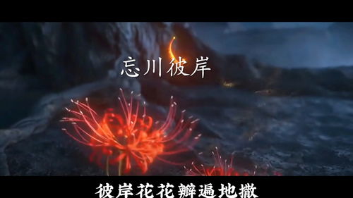 忘川表达了什么情感,忘川彼岸唯美句子