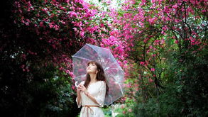 心雨落落入世间花败人断肠,花瓣人断肠戏腔什么歌