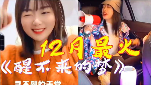 很火的歌抖音叫梦里什么什么,歌曲《醒不来的梦》原唱