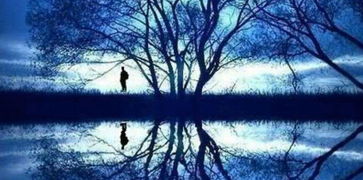 很火的那个带有清风明月的歌,明月清风形容男女关系