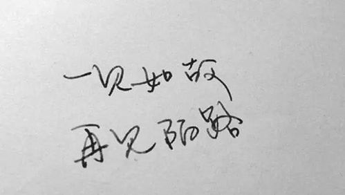 往后余生表达什么情感,往后余生真正含义