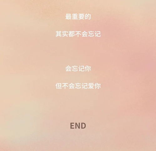 忘了你忘了我背后的故事,忘了你忘了我这首歌表达的情感