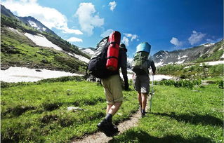 徒步音乐15首歌曲连放,歌曲《带我到山顶》