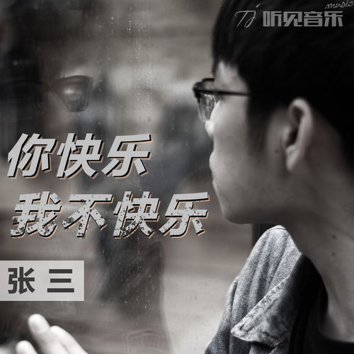 快乐不快乐都是过一天是什么歌,只有我不快乐歌词