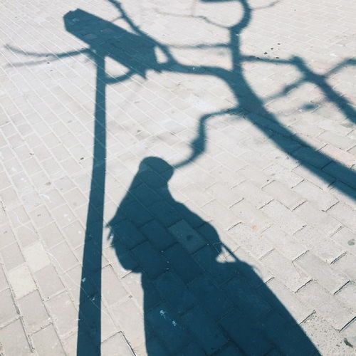 影子代表什么情感,影子的深层含义